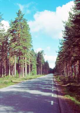 typische Landstrasse in Schweden