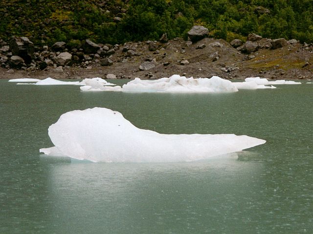 Eisschollen am Brikdalsbreen
